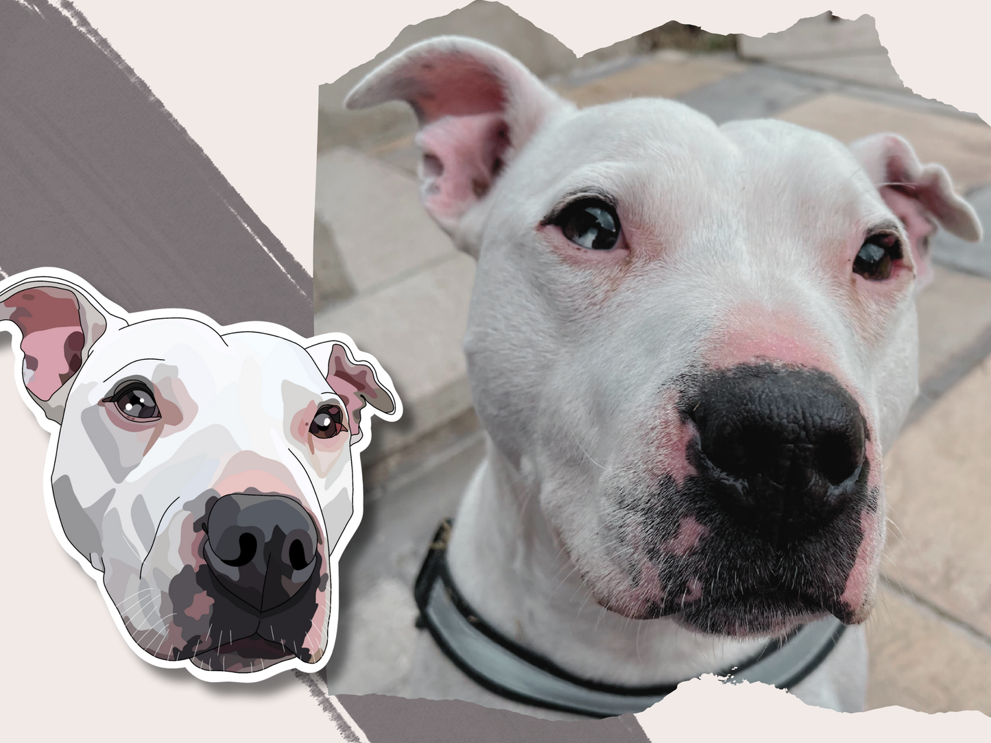 Custom Pet Portrait Sticker