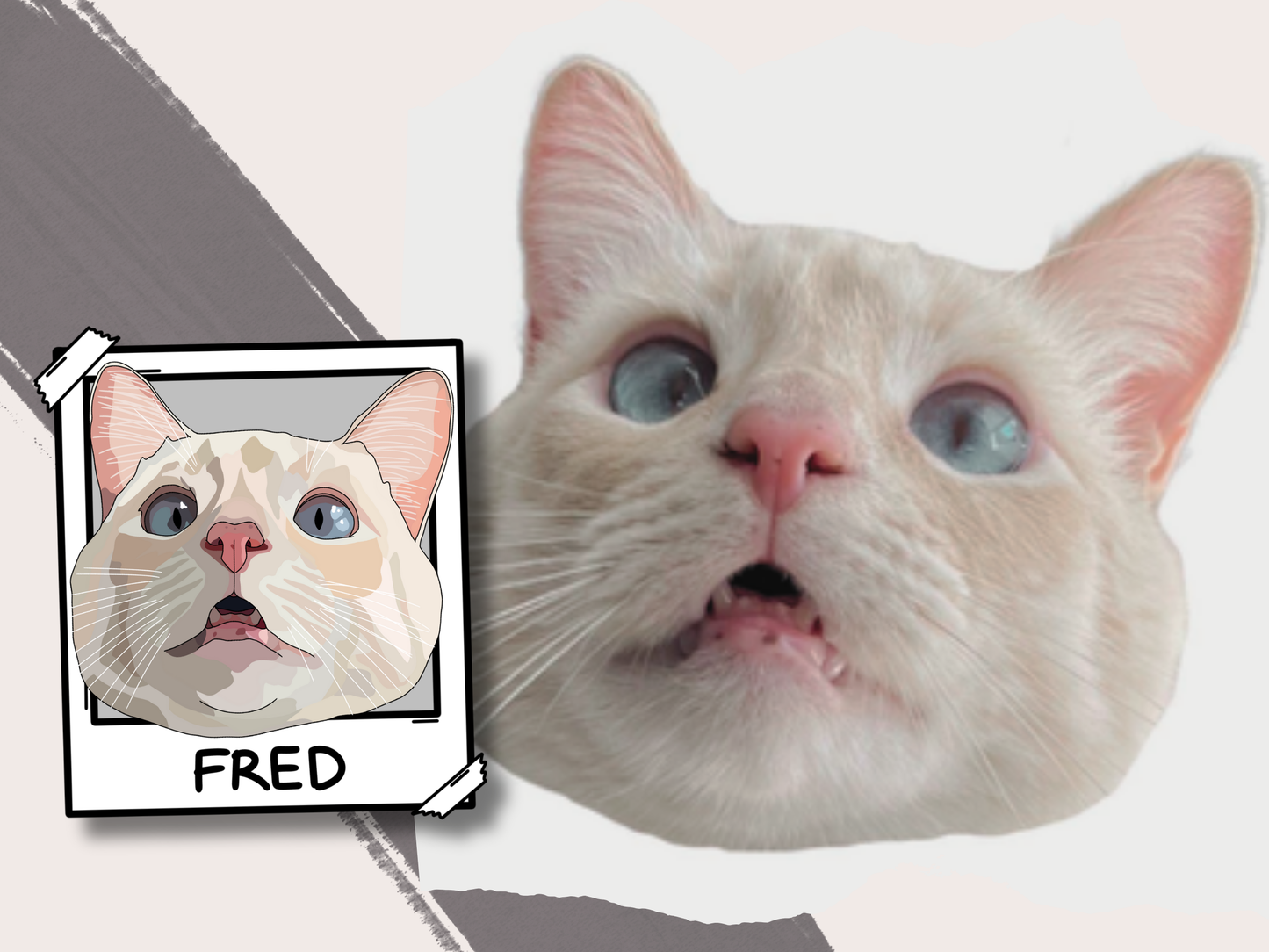 Custom Pet Portrait Polaroid Sticker Bundle