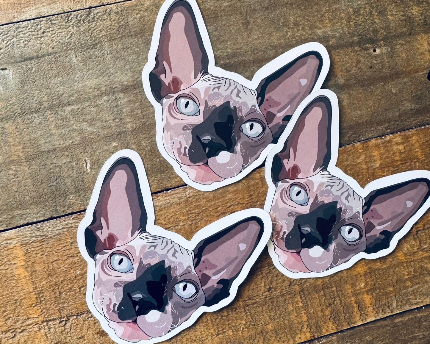 Three stickers of a sphynx cat on a wooden surface